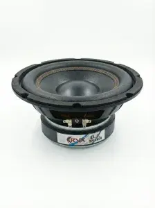 RVX 10-Inch High-Power DJ Subwoofer - 150W RMS / 8 Ohm - Buy in Patna Bihar